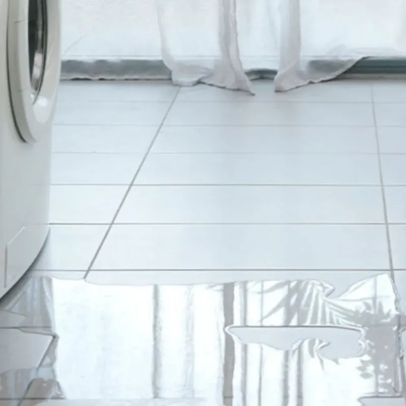 Appliance Leak Cleanup in Natchitoches, LA