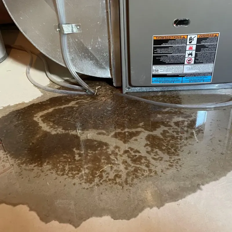 Pipe Burst and Leak Restoration in Natchitoches, LA